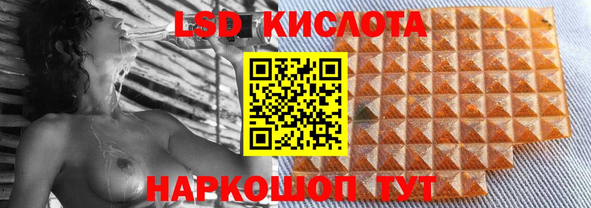 блэк спрут tor  ЛСД экстази кислота  Лсд 25 экстази кислота  Вход с VPN  Камышлов 