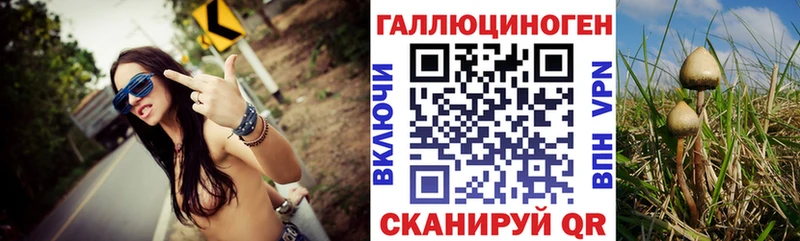 Галлюциногенные грибы Psilocybe  дарнет шоп  Камышлов 