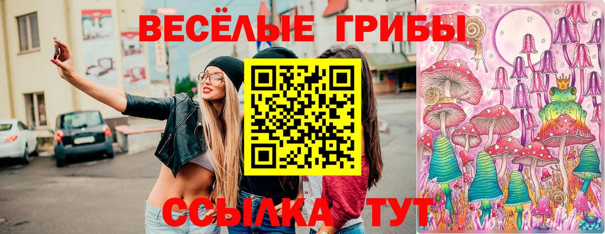Псилоцибиновые грибы Psilocybine cubensis Камышлов