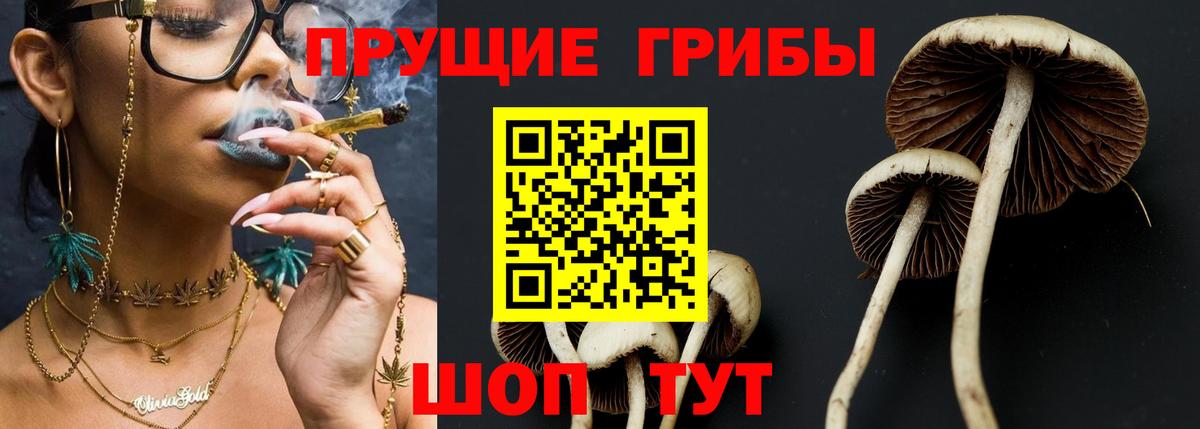 даркнет сайт  Вход с VPN  Камышлов  Псилоцибиновые грибы прущие грибы 